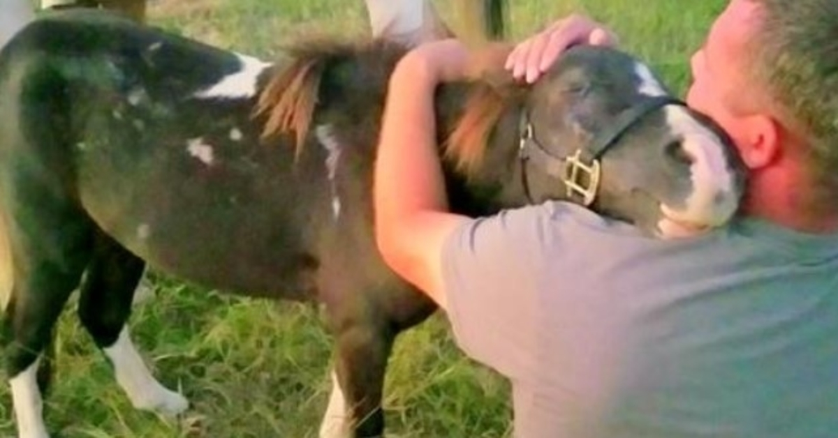Týraný poník prodaný za obchod s masem, objímá muže, který ho na poslední chvíli zachránil