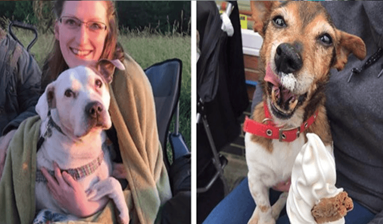 Zdravotní sestra v důchodu otevírá hospic pro psy, aby se mohli během svých posledních okamžiků cítit milováni