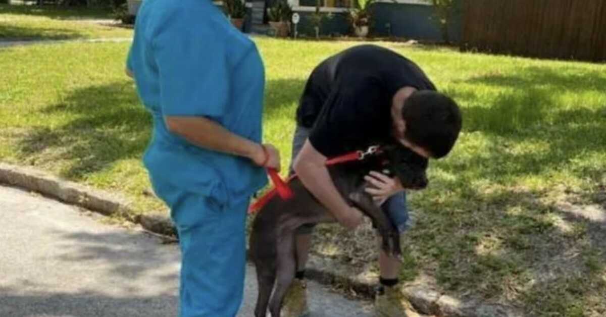 Bezdomovec měl dát svého psa do útulku, ale vrátil ho