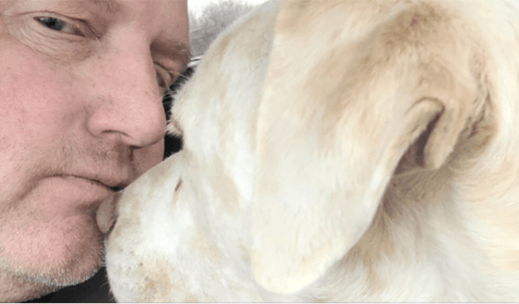Slepý a hluchý pes v útulku 200 dní, než přijde bojový veterán