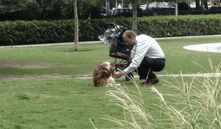 Majitel vytáhl slepého psa z kočárku, když se ohnul, myslel si, že ho nikdo nesleduje