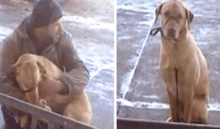 Muž našel psa třesoucího se venku v chladném počasí a neztrácel čas