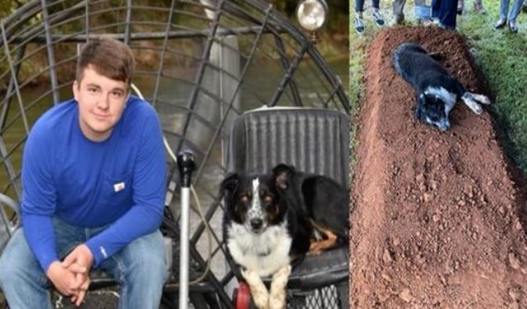 Truchlící pes u hrobu svého 22letého majitele, který byl zabit