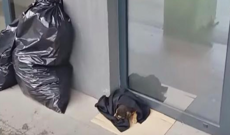 Zabalené dítě leželo před bankou studené a hladové a nikdo se pro něj nezastavil
