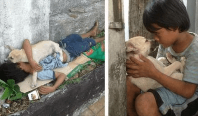 Chlapec opuštěný rodiči zazpíval ukolébavku psovi bez domova