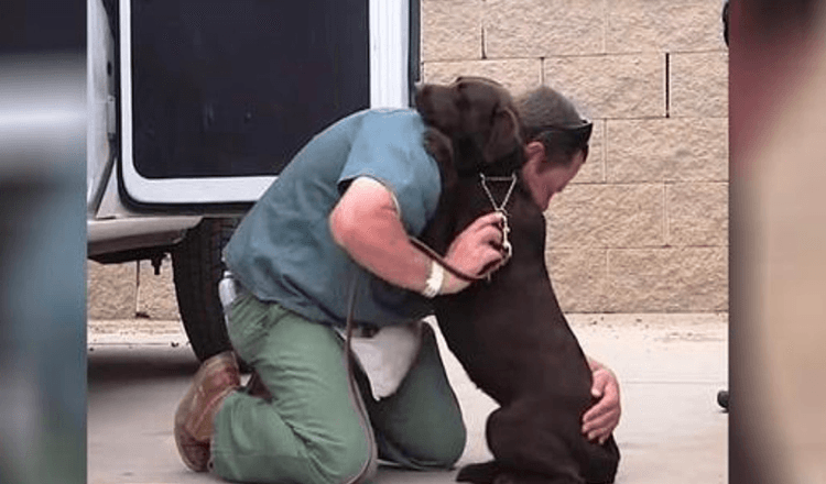 Psa odvezli na utracení, ale jeden vězeň ho pevně objal