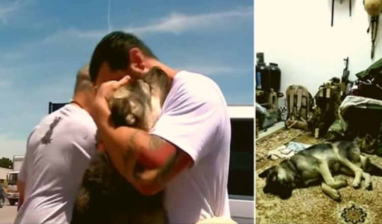Obětavý voják si adoptoval psa, který ho dostal na válečnou misi v Iráku