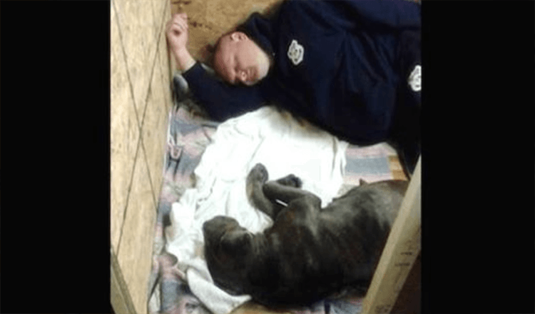 Policista zachránil těhotnou dogu a překročil rámec svých povinností