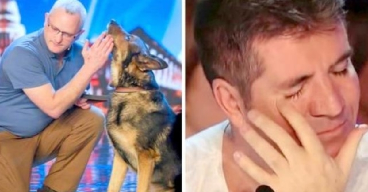 Policejní pes pobodán při výkonu služby, Simon Cowell se v BGT brání slzám