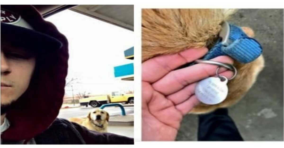 Muž objeví “ztraceného” psa, snaží se mu pomoci a přečte si identifikační známku