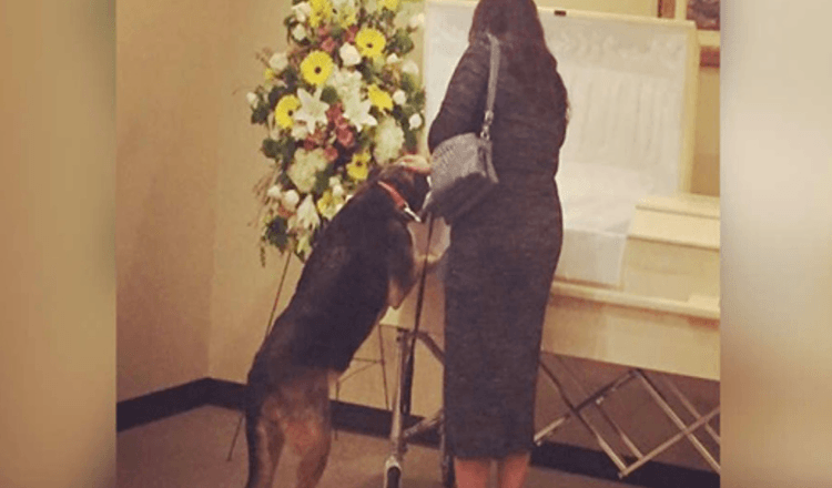 Pohřební ústav nechal psa navštívit, aby se s ním mohl naposledy rozloučit