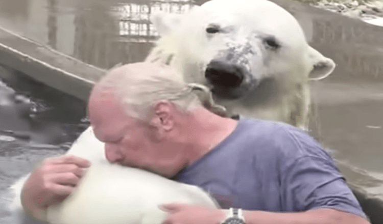 Muž plave s bílým ledním medvědem, kterého choval více než dvě desetiletí