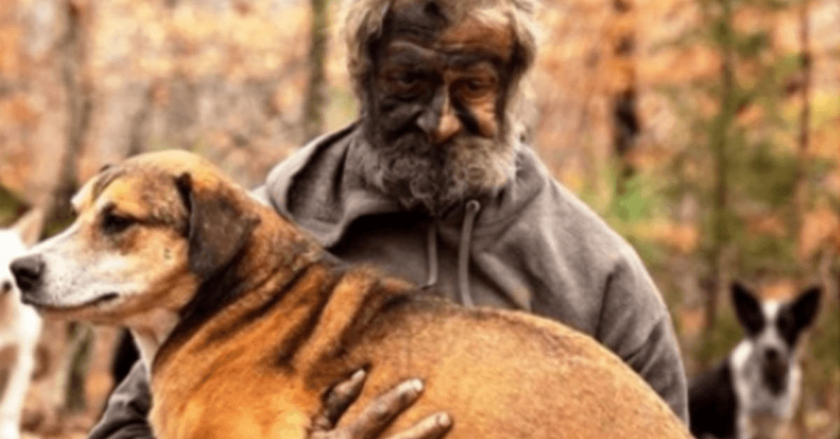 Bezdomovec se slzami v očích sleduje, jak úřady odnášejí jeho 31 psů