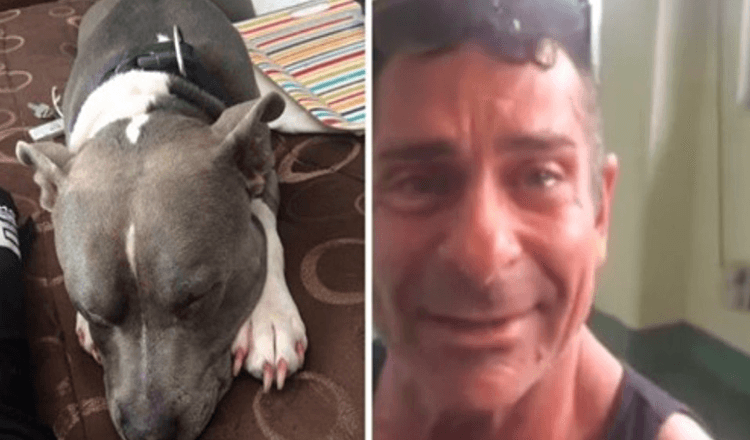 Muž se sešel se svým ukradeným psem jen dva dny předtím, než mu byla naplánována eutanazie