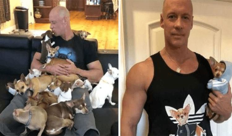 Muž se zlomeným srdcem byl zachráněn čivavou – a nyní zachránil přes 30 malých psů