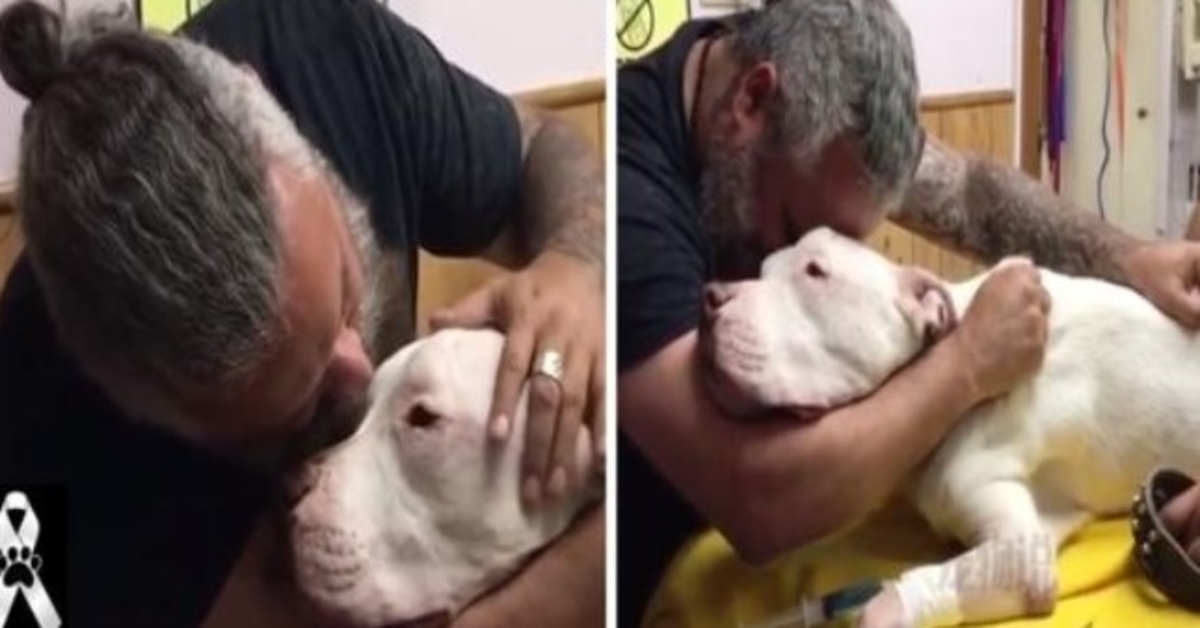 Muž přes slzy objímá svého 14letého psa a o několik sekund později umírá: „Neopouštěj mě“