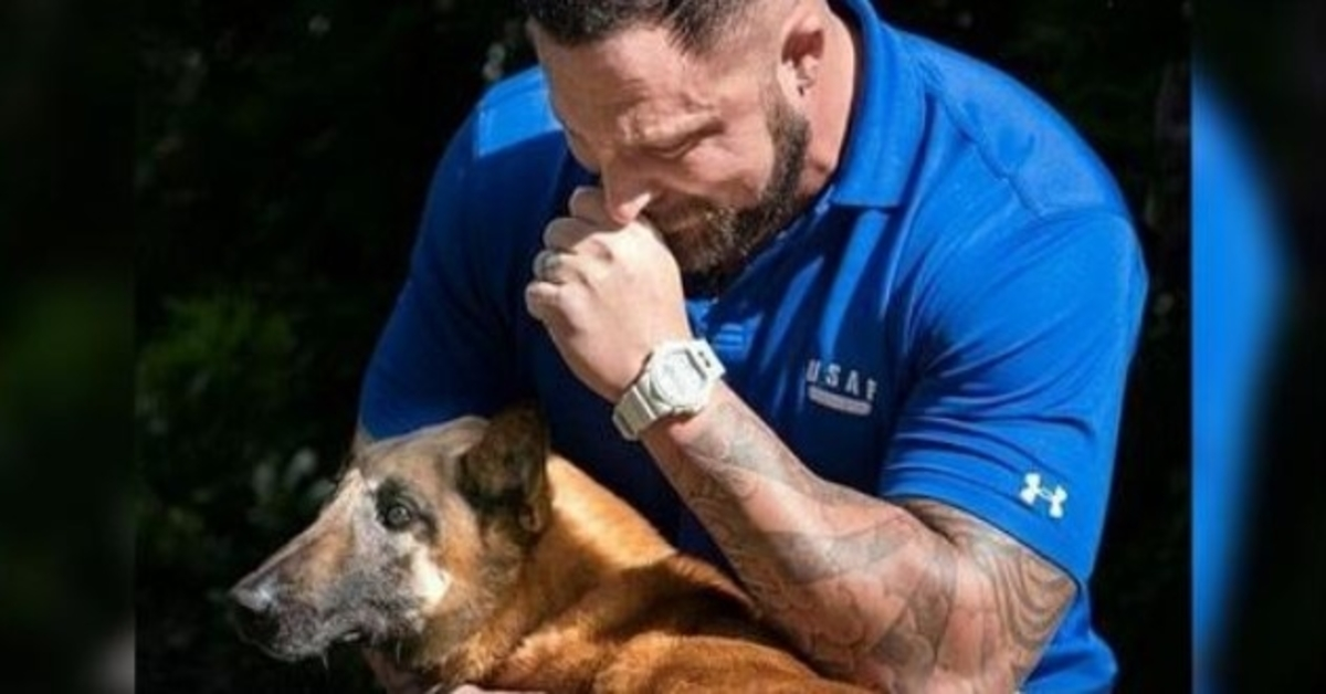 Veterinář nemůže zadržet slzy, když vidí svou vojenskou K9, když je teď stará a v důchodu